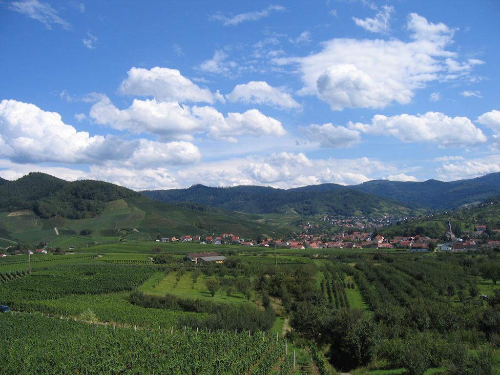 Apartmenthaus Casa Palma Bühl Buitenkant foto