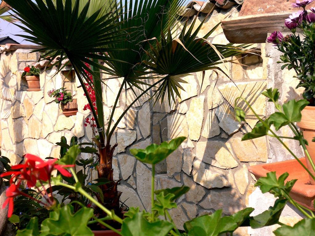 Apartmenthaus Casa Palma Bühl Buitenkant foto